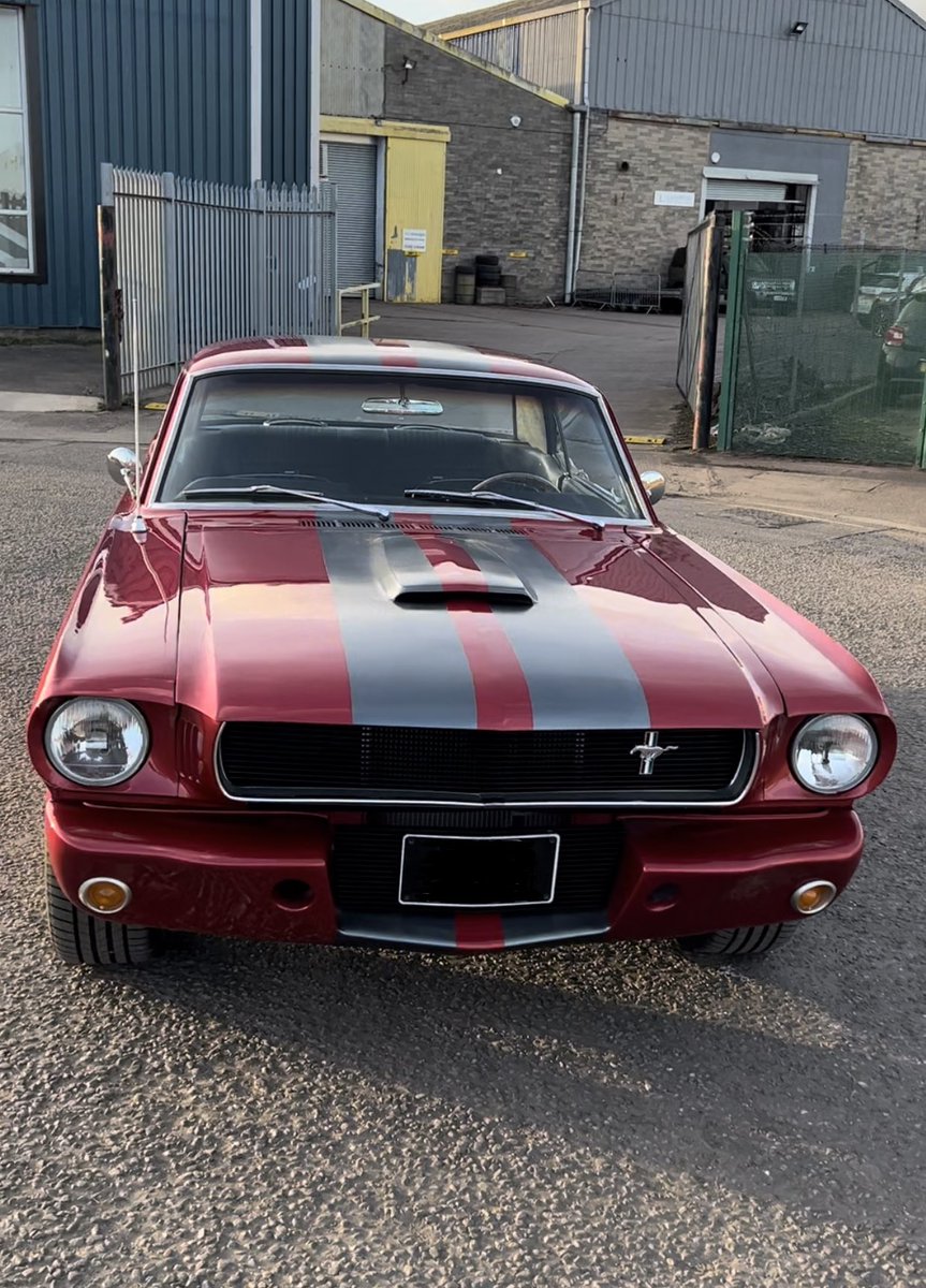 landroid_ltd's tweet photo. Mustang from Landroid? Not only Defenders here! Light renovation to a returning customers summer weekend drive. Given the Landroid touch. https://t.co/pcbXaXIJcI