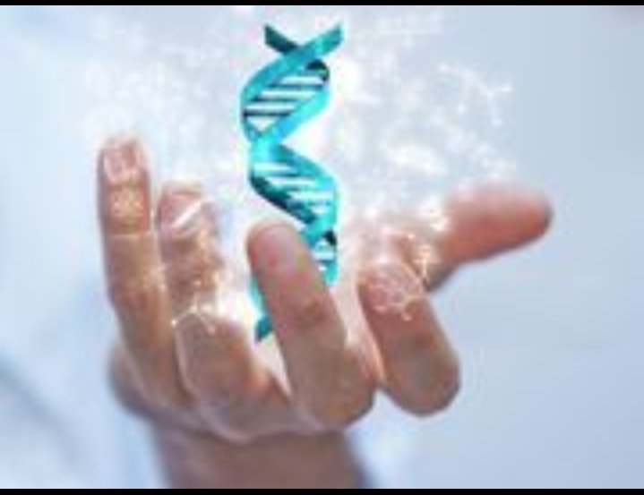 HealthyOption20's tweet photo. 📌Science Brings Shortcut to Spotting 50 Rare Genetic Diseases.

Scientists have developed a single test that can rapidly detect a collection of rare genetic diseases -- an advance they hope will shorten the "diagnostic odyssey" that people with these conditions can face. #Health https://t.co/04htwdjSQO