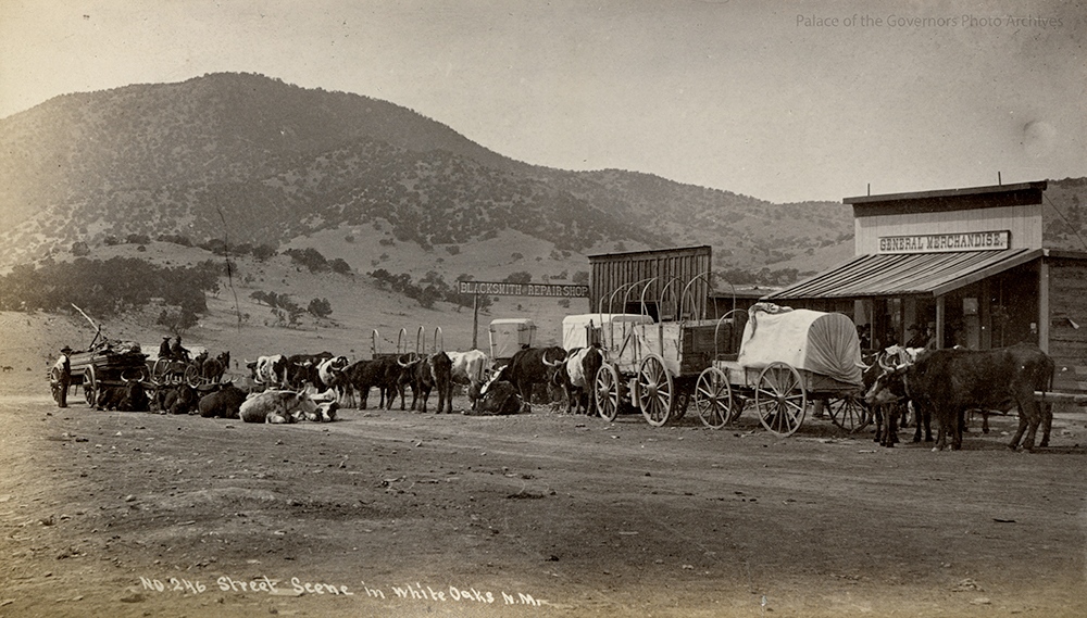 POG Photo Archives tweet media