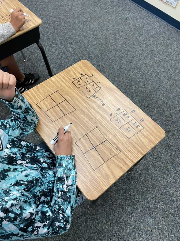 Stephanie Alder (@ms_alder) on Twitter photo Punnett square practice as we introduce genetics and traits! <a href="/JKniseley1/">joe kniseley</a> <a href="/Mrs_Enriquez_5/">Monica Enriquez</a> <a href="/FallbrookStem/">Fallbrook STEM Academy</a> Punnett square practice as we introduce genetics and traits! <a href="/JKniseley1/">joe kniseley</a> <a href="/Mrs_Enriquez_5/">Monica Enriquez</a> <a href="/FallbrookStem/">Fallbrook STEM Academy</a>