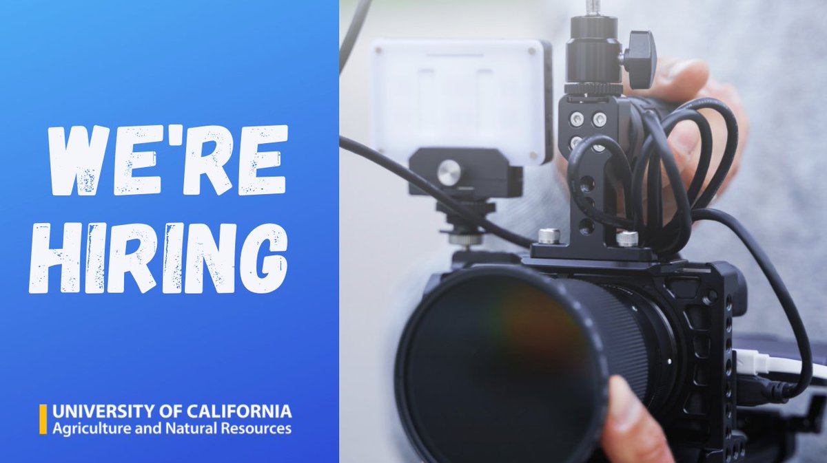ucanr's tweet photo. We're seeking a highly motivated Senior Videographer based in #Davis who will help tell the #UCANR story and share educational content with #Californians through the development of engaging video content. #CommJobs #VideoJobs #Hiring
Apply here:
https://t.co/hVqCFx9oDy https://t.co/0za6ploSpC