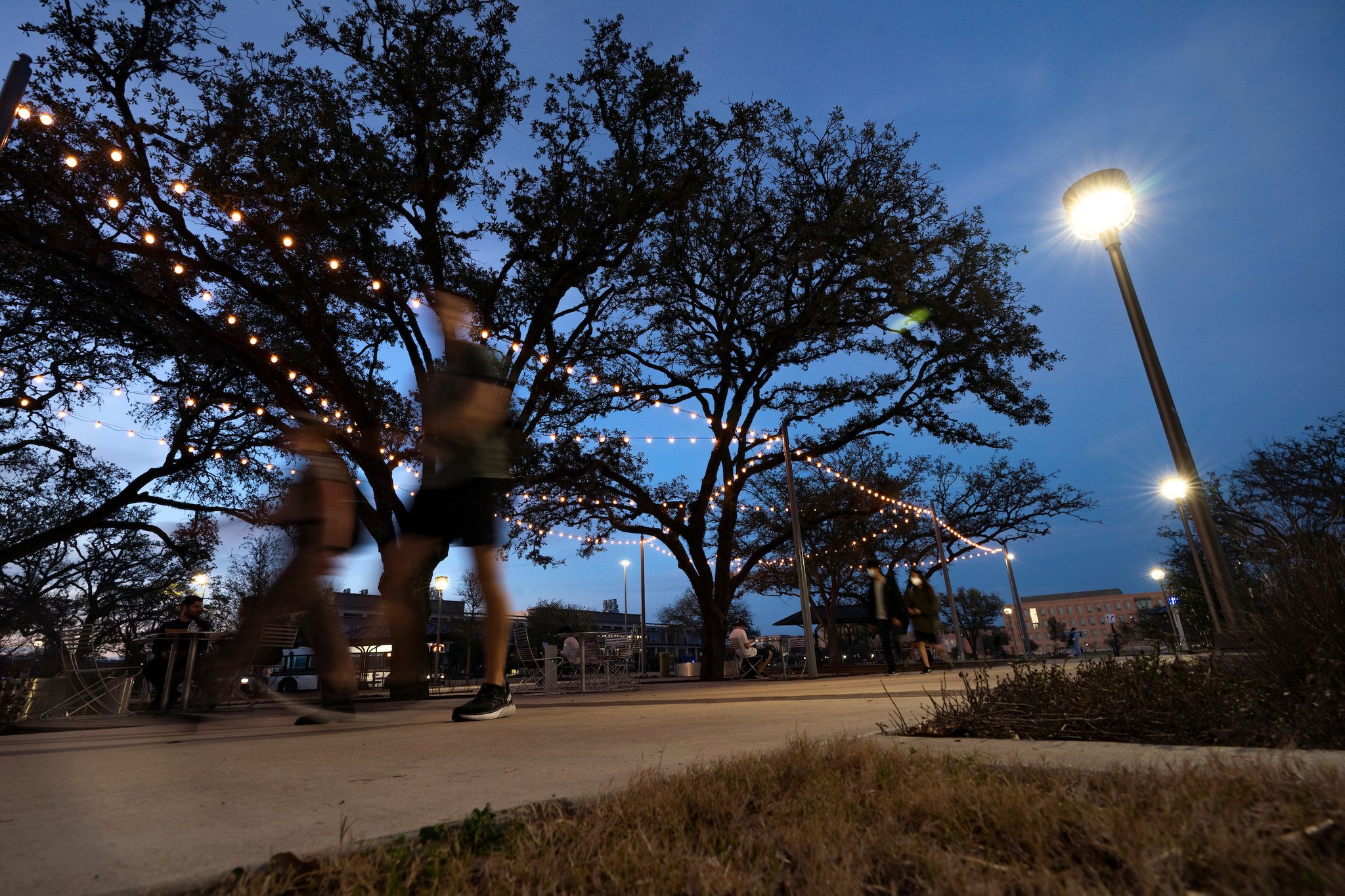 Texas A&M University on Twitter "Racing toward spring break! You've