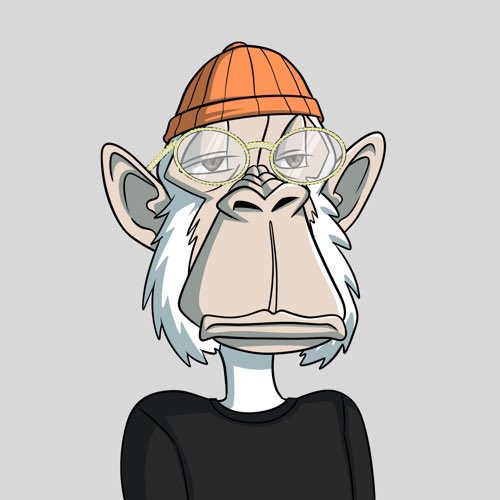 Crypto_Haze 🐍 tweet media