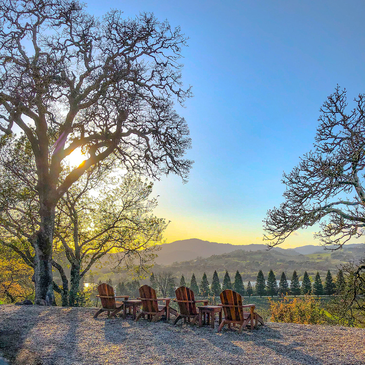 There's nothing quite like this late afternoon view paired with a delicious glass of Copain wine. Let us know which wine you would pair this view with below. 🍷👇 #winewithaview #sonomacounty