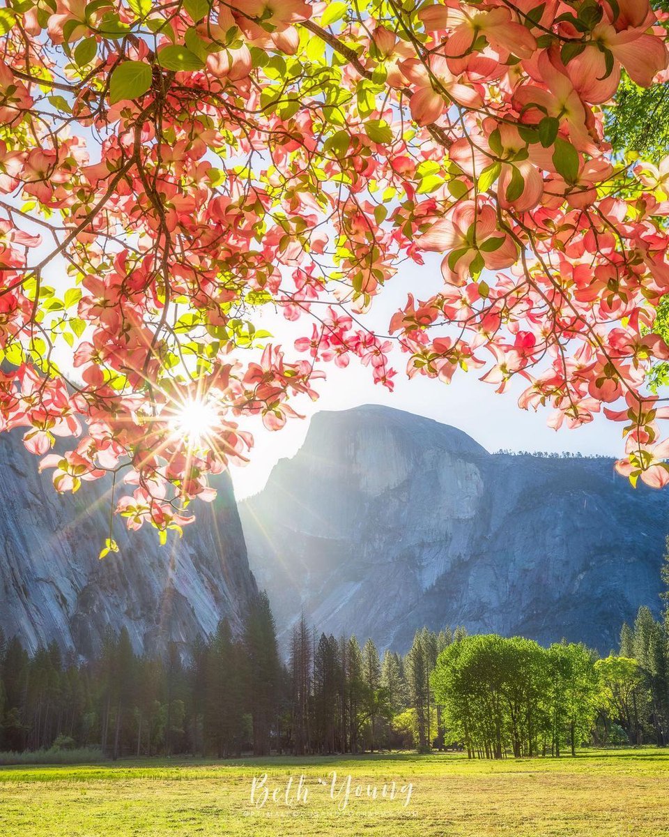 Yosemite Nation tweet media