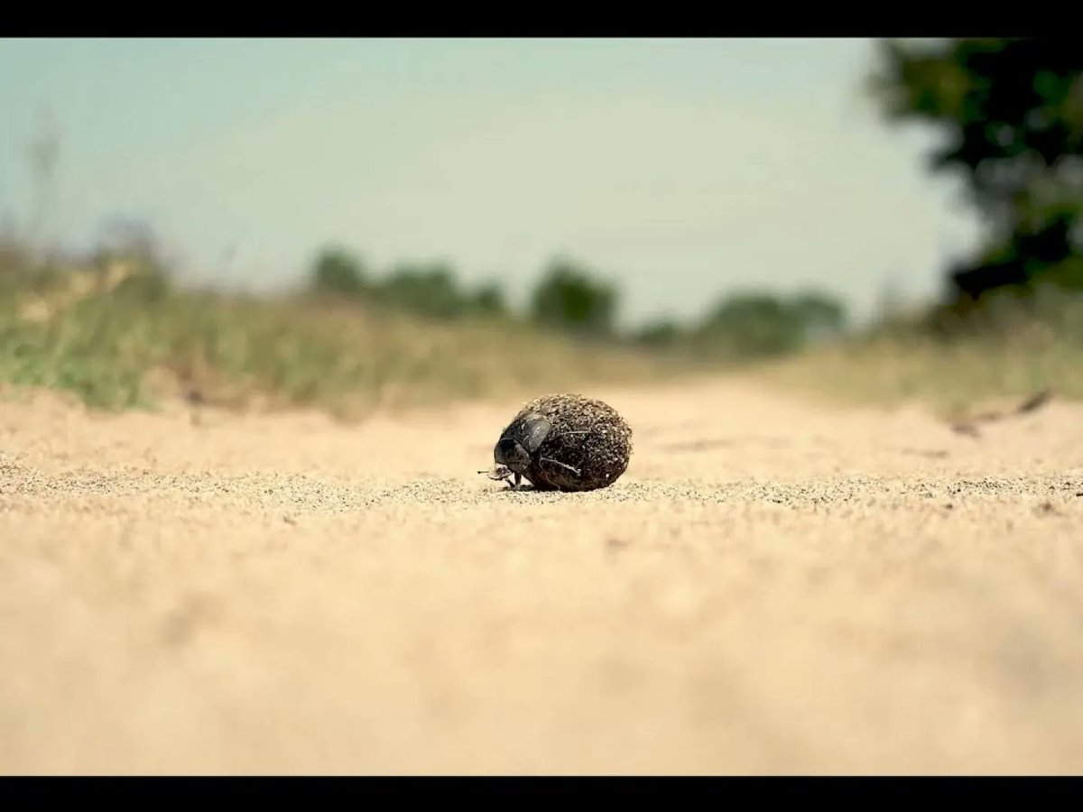 Learn about the new Lafarge ad by <a href="/Shift__ENGAGE/">shift ENGAGE℠</a>: This Is Home bit.ly/3I1GwE4