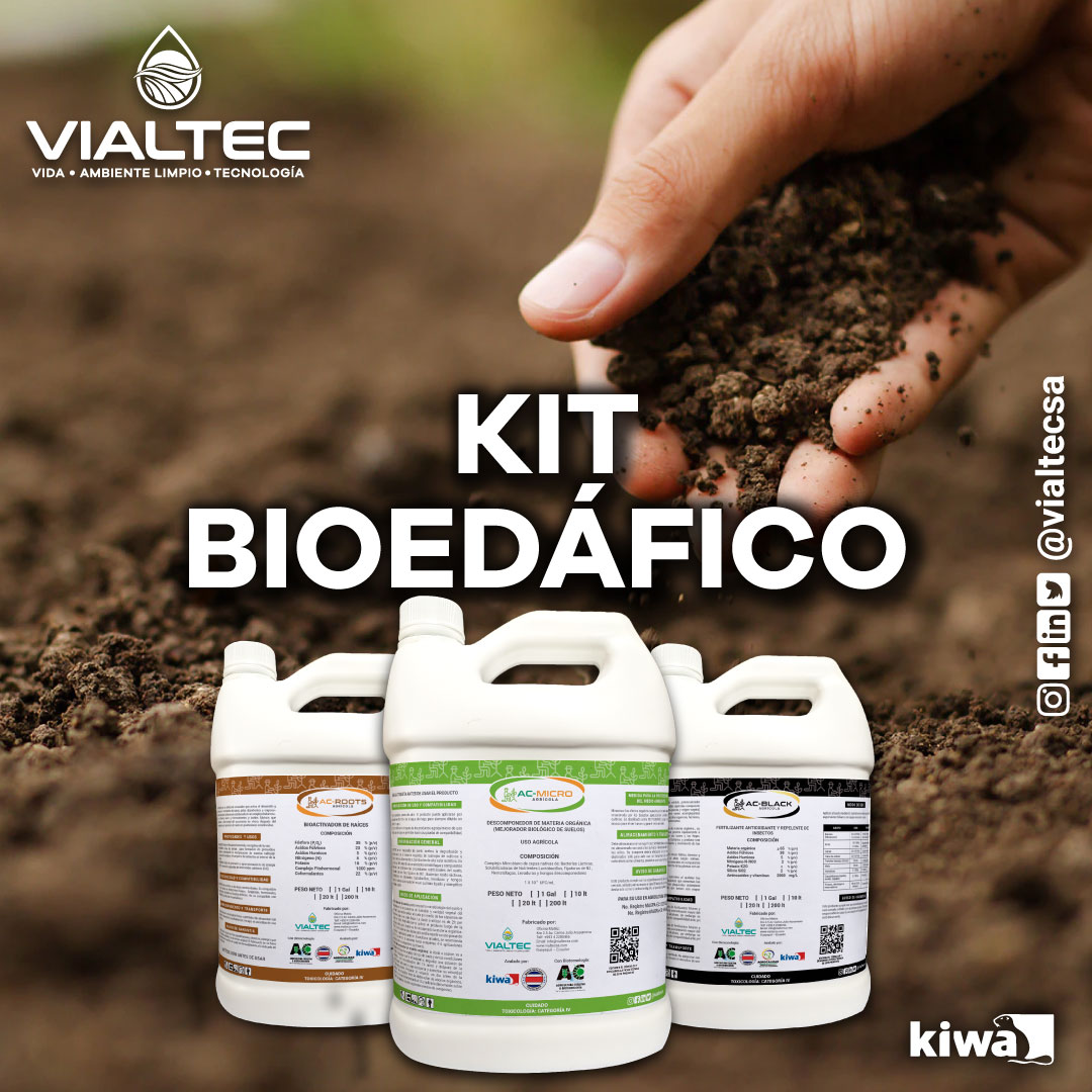 VialtecSA's tweet photo. Suelos vivos y más raíces con nuestro Kit Bioedáfico 🌱🌴
.
.

#agricultura #agroculturaorganica #biotecnología #bananoecuatoriano #microorganismos #cultivosecuador #cosecha #bananeraecuador #bananoecuatoriano #acroots #acblack #acmicro #vialtecsa https://t.co/K1wDtp2j0R