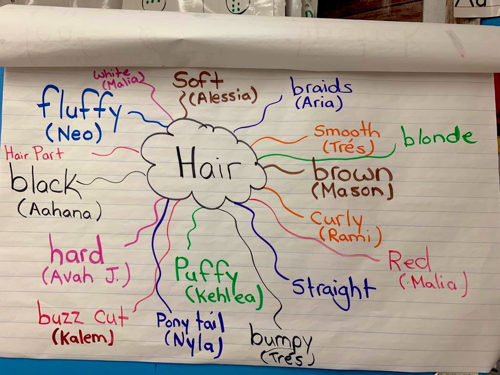 We had a school wide inquiry on Hair Love by <a href="/MatthewACherry/">Matthew A. Cherry</a>. This is a snapshot of the way FDK children celebrated and explored their own hair and identities using dyed pasta. We ❤️ our hair!