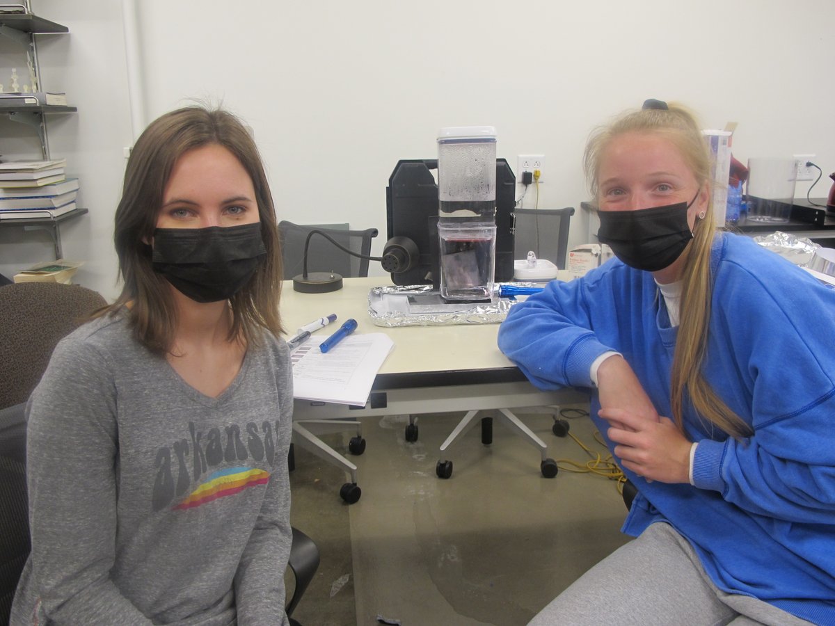Happy International Women's Day! Anne and Camilyn were the first students to observe particles in our new cloud chamber. It was a team effort to get it working!