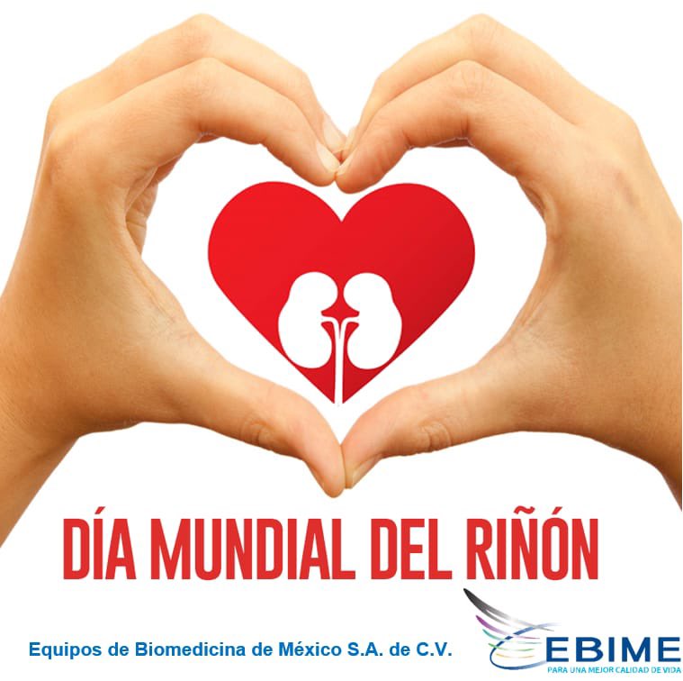 "SALUD RENAL PARA TODOS” es el lema este año 2022 en el #DiaMundialDelRinon Este jueves 10 de marzo se celebra el Día Mundial del Riñón, con el fin de concientizar sobre la importancia de la salud renal. 
#SaludRenalParaTodos