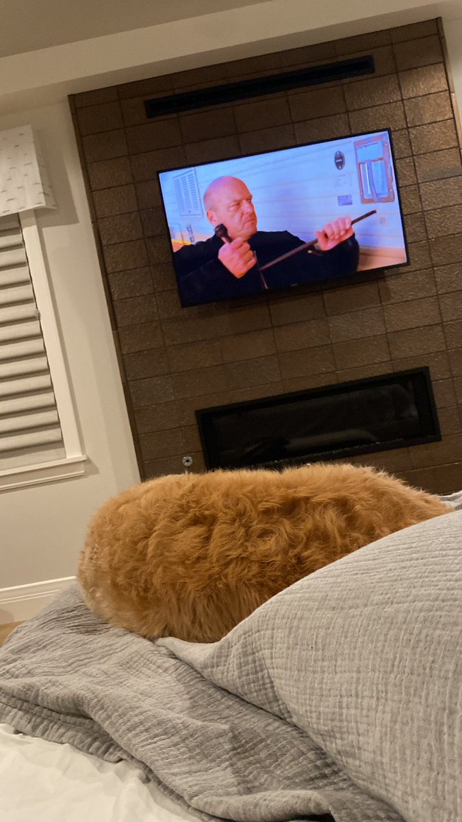 AlecWalter11's tweet photo. Wyd doin rn? Bet it’s not watching your aunt and uncles house pretending it’s your own. Exactly what i thought #Jpegsmademerich https://t.co/7NtTYMl95s
