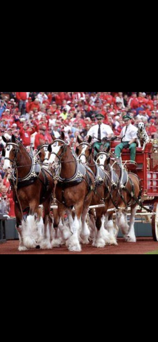 Skip Schumaker (@sschumaker55) on Twitter photo 