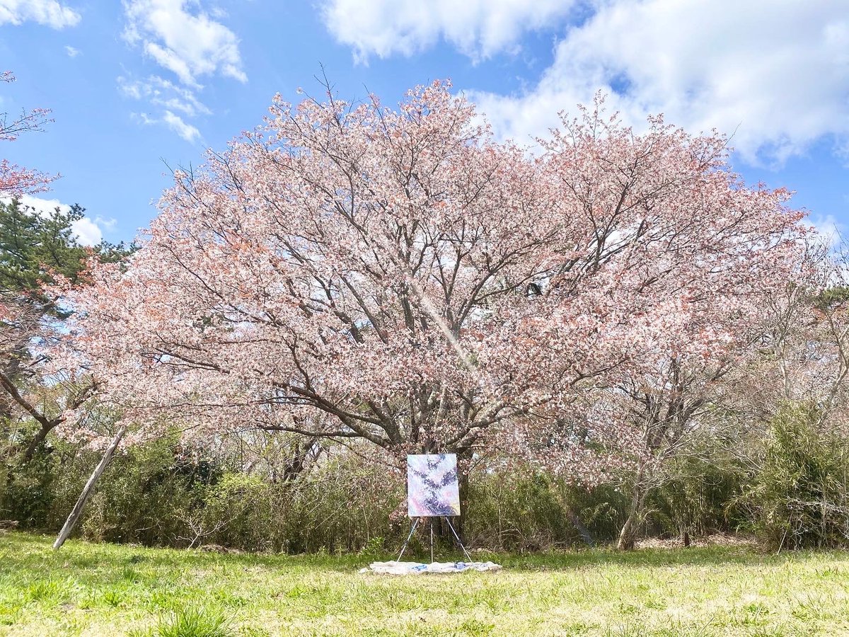 SAORI_An's tweet photo. #311
#1446

石巻の桜に想いを馳せて
黙祷

安心して癒されますように
生きる悦びを生きられますように

大切なことを忘れない

#LIFEALIVE https://t.co/nH9XgEfVsu