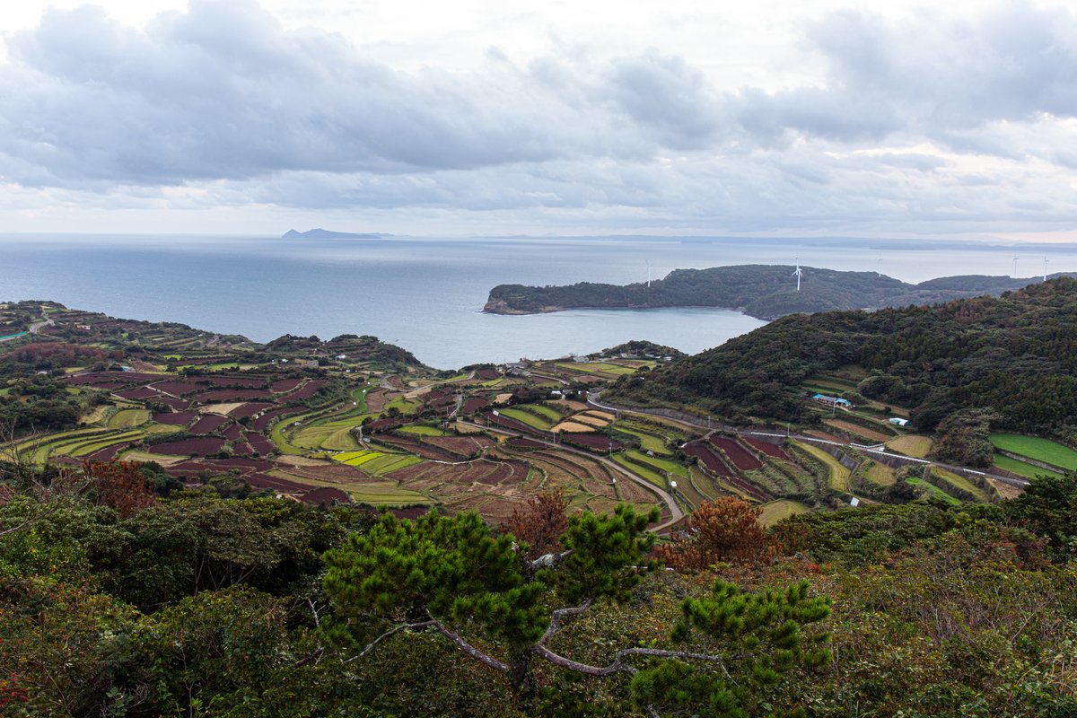 花粉の飛散がちょっときつすぎる。避粉地の的山大島に飛んで行きたい。せめて鼻だけでも。