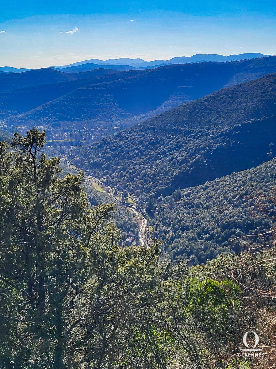 "Sur les feuillages et les mousses
Le soleil darde un oeil ardent ;
Les cerfs, par bonds, dans les vallées,
Se baignent aux sources troublées,
Le bruit des hommes va grondant."
🌳🌲
📖 Leconte de Lisle
📷 Sarah Chambert
🗺 Mialet
#Cévennes #Gard #Oraterra