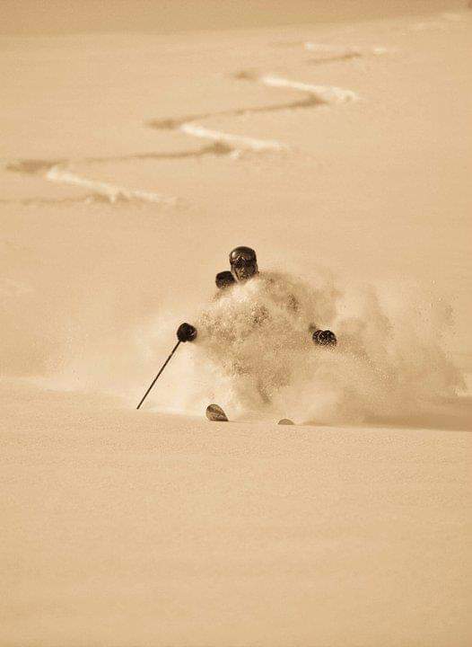 Taylor Blake Ward tweet media