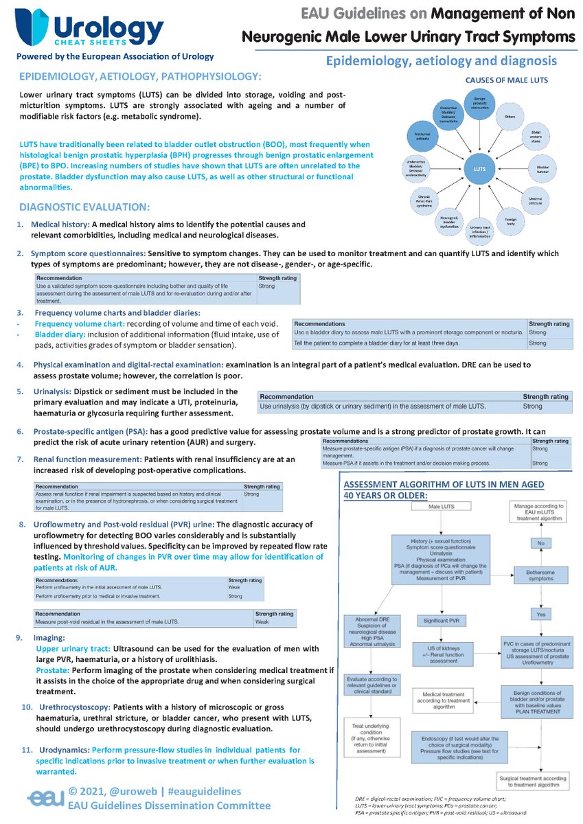 Uroweb's tweet photo. Increasing studies show Lower Urinary Tract Symptoms are often unrelated to the #prostate. #LUTS are largely related to bladder outlet obstruction and #BladderDysfunction.
Review the #EAUGuidelines on Male LUTS with
@CheatUrology #EAUUrologyCheatSheets: https://t.co/a9OPCHQgFa https://t.co/L3mJaxioO5