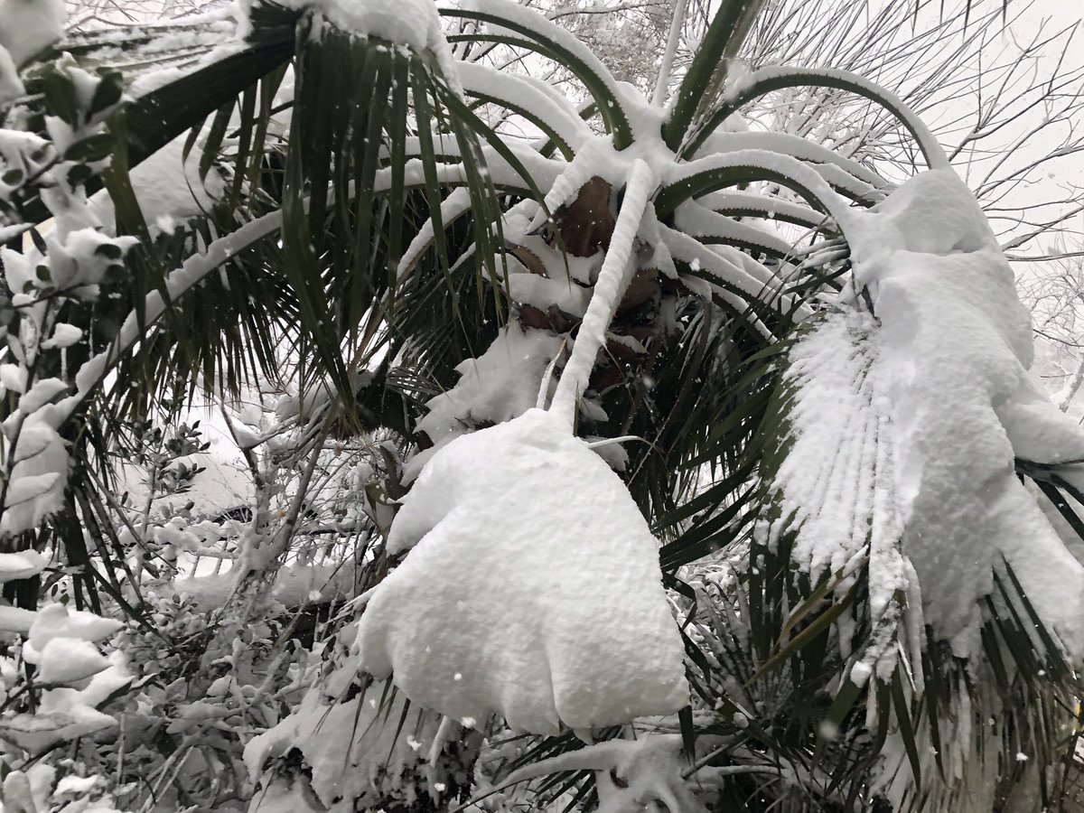 Bu karlı dünyaya gocuk getirmek istemiyorum!