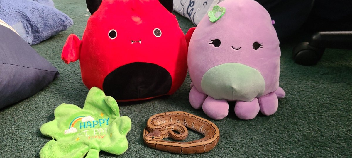cropszilla's tweet photo. Wait it's #petsforcorpse day? Lemme present to you Vanilla the dog (4 years old), Flower the cat (20 years old), and Patrick the snake (at least a couple months old) 🐶🐱🐍
-
-
{rt to spread the cuteness 💕}
{#corpsetwt} https://t.co/D3S4Tys0cE