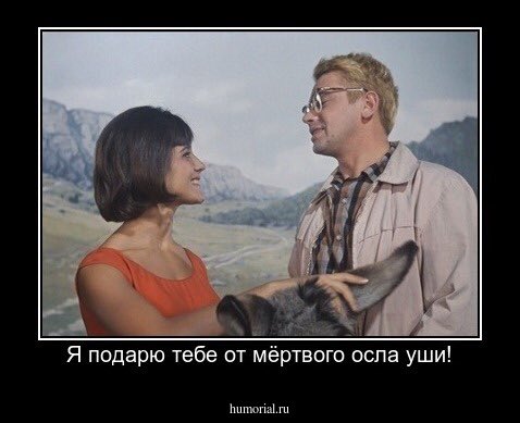 иногда словно первый дождь иногда словно первый. вдруг сообразить. иногда словно первый дождь. интересные фото животных. прикольные лягушки.