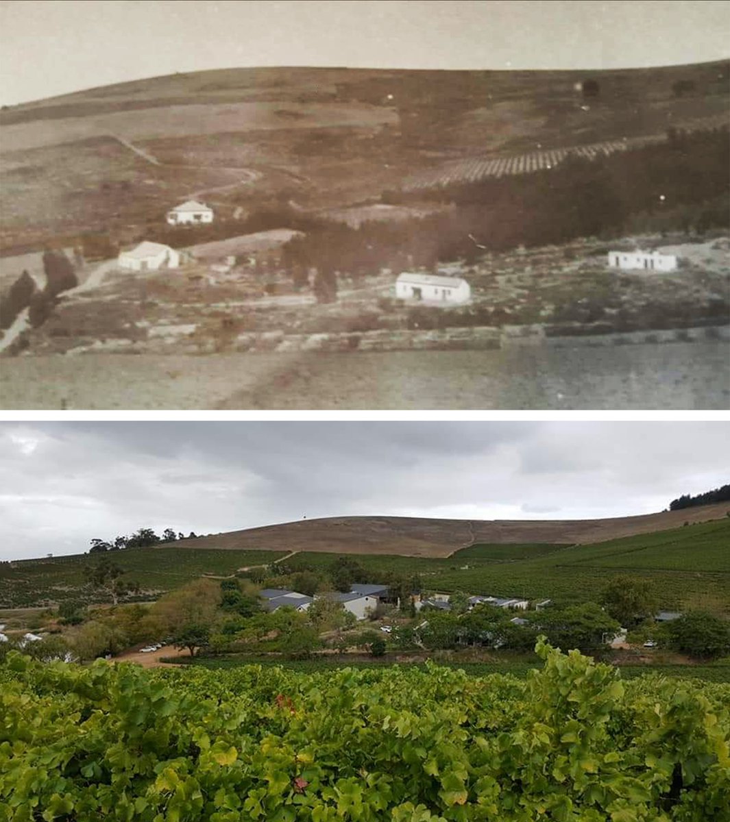 Jordan_Wines's tweet photo. Then and now!
Look how we've blossomed. https://t.co/Bjj1TVjgCe