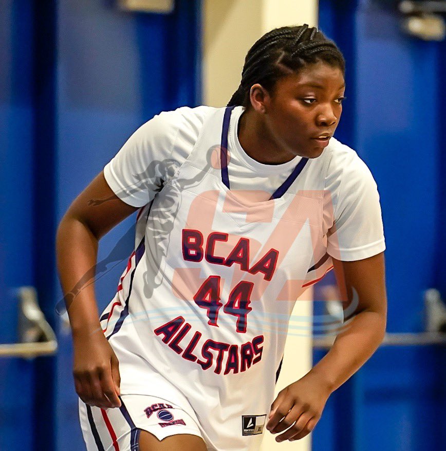 Sleeper Athletes Ladies Basketball tweet media