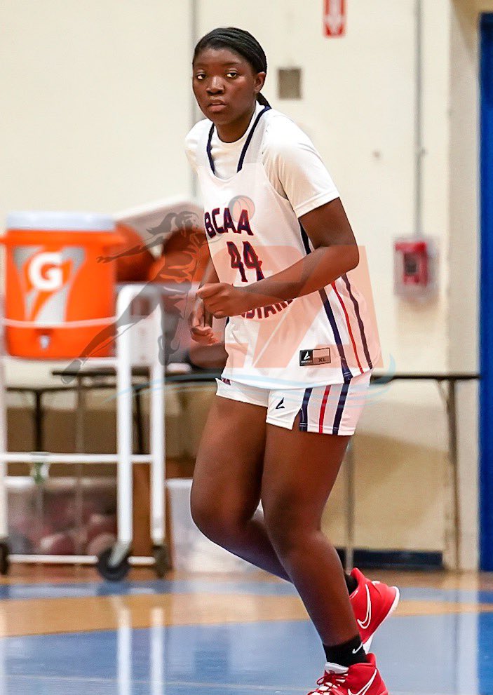 Sleeper Athletes Ladies Basketball tweet media