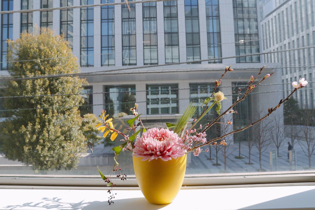 Nagatacho_GRiD's tweet photo. GRiDのエントランスと2階に
桜が咲き始めました！🌸

春の訪れを感じます

今日も10:00よりドロップイン利用いただけます。
気になることは気軽にDMまで🧑‍💻

@Nagatacho_GRiD https://t.co/eJ7DpffXUR