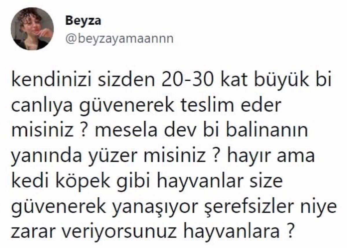 Alnı Öpülesi Tivitler (@alniopulesitivt) on Twitter photo 