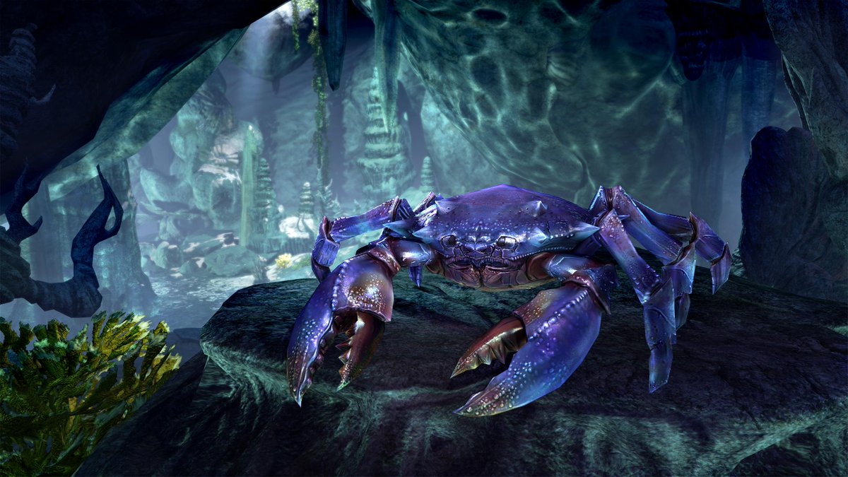 UESP_net's tweet photo. Did You Know: Wasten Coraldale Mudcrabs consider every other creature in existence to be a threat, including other mudcrabs? https://t.co/MRJHqSYqQb