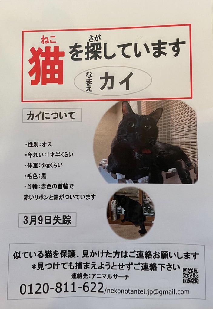 ralan0808's tweet photo. 埼玉県上尾市原市で行方不明の猫を探しています。

毛色:黒
性別:オス(去勢済み)
特徴:真っ赤な首輪をしています。(大きめのリボンと鈴付き)
しっぽが特徴的で真ん中で折れて先がプラプラしてます

もし見かけた方がいたらご一報いただけると幸いです。
#迷い猫 #猫探しています #拡散希望 https://t.co/cSsJl4cMvu