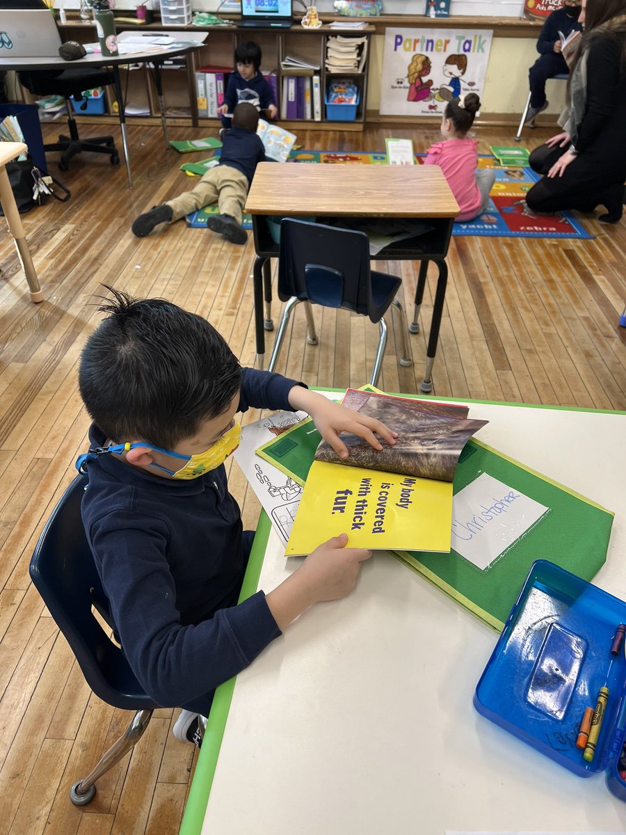 Anna Morella tweet media