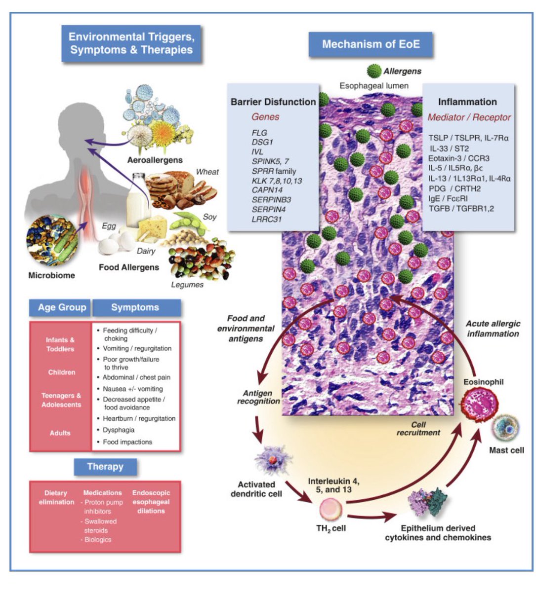 Rajitha D. Venkatesh MD MPH FAAP tweet media