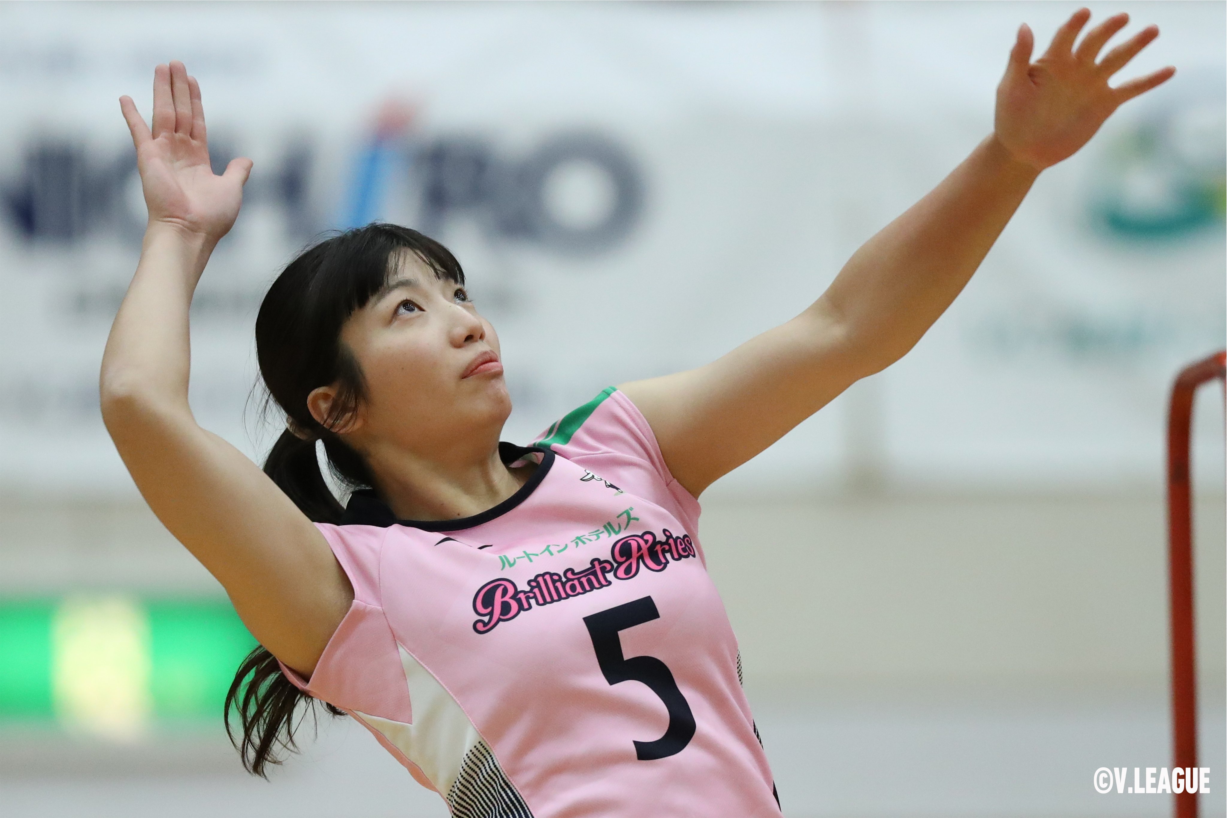 Vリーグ　エロ 