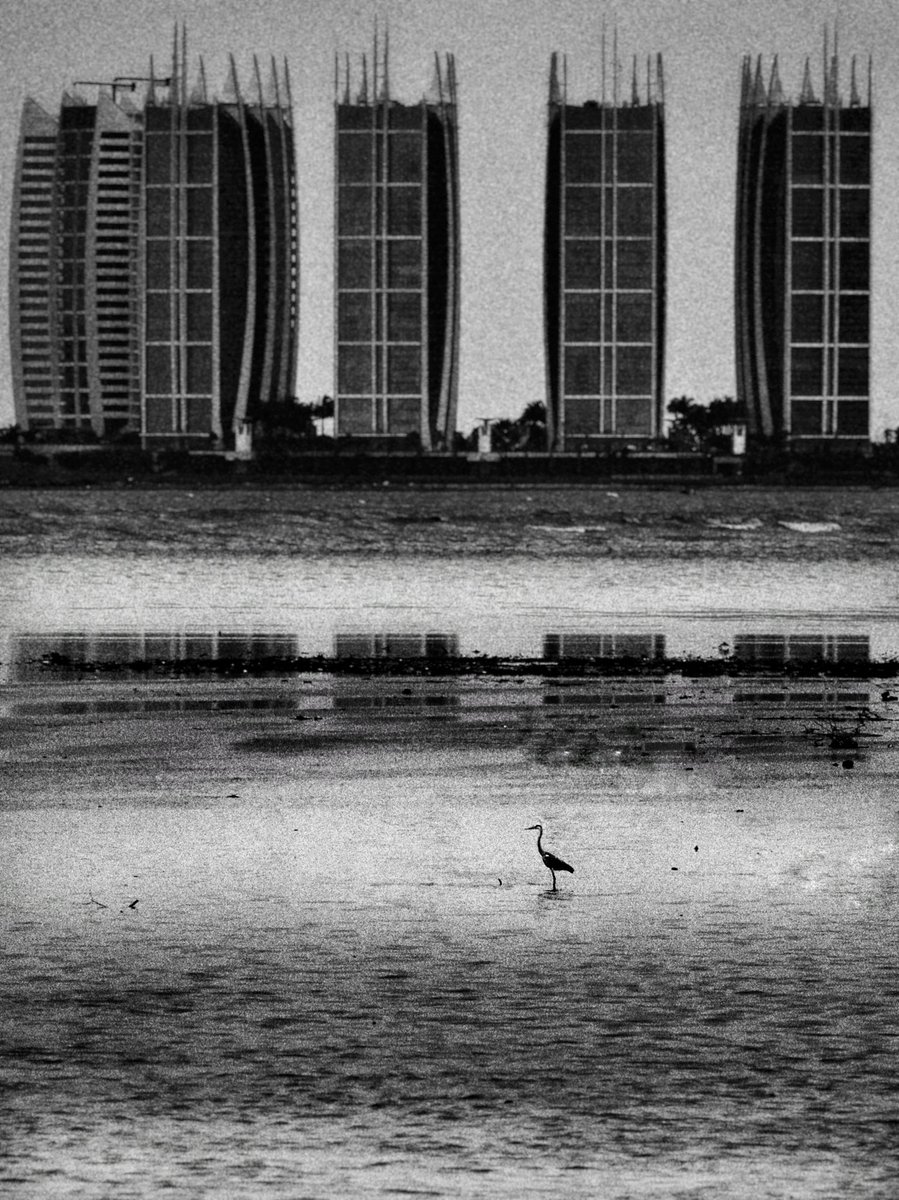 n0maden's tweet photo. "ISOLATED"
9/10 Ed 0.95 #tez 

Teia https://t.co/xP7SWthQR4
Objkt https://t.co/zuQ3Bmm6vJ

@NFTindonesia_ @objktcom #nfts #nftcollector #tezos https://t.co/DLEERoD3jF