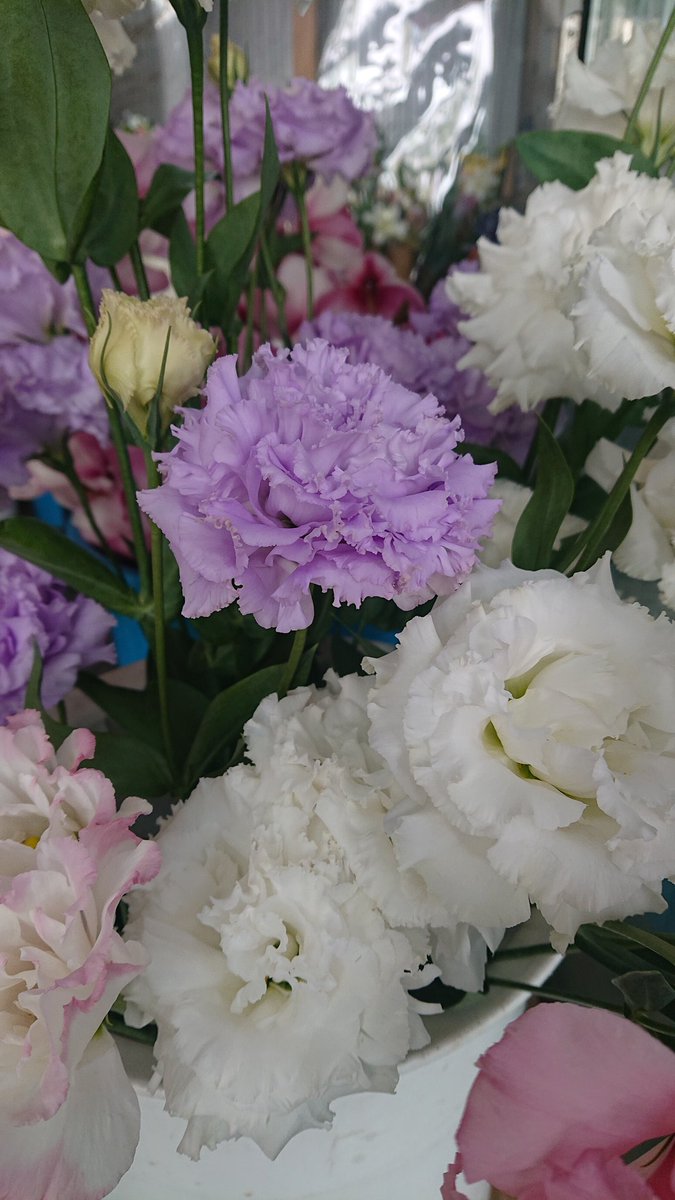 フラワーショップシンドー Yoko4lovedct Twitter フラワーショップシンドー Yoko4lovedct Twitter