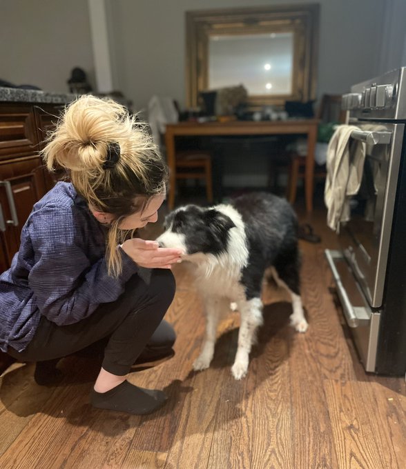 #lover of #animals #dog #AdoptDontShop #DogLover #DogsofTwittter https://t.co/AxM5r5qfkH<a href="/tag/lover"class="tags">#lover</a><a href="/tag/animals"class="tags">#animals</a><a href="/tag/dog"class="tags">#dog</a><a href="/tag/adoptdontshop"class="tags">#AdoptDontShop</a><a href="/tag/doglover"class="tags">#DogLover</a><a href="/tag/dogsoftwittter"class="tags"><span>#dogsoftwittter</span></a>