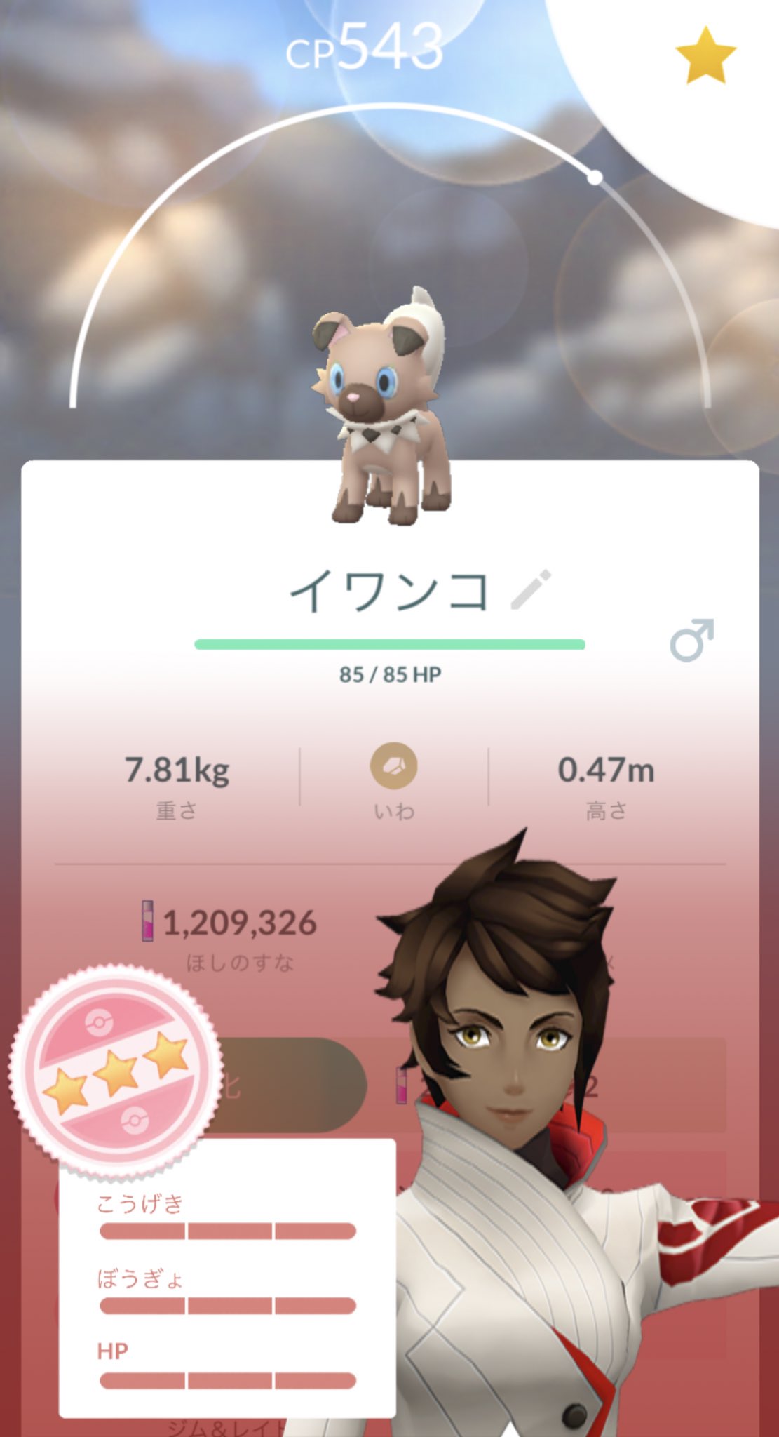 ポケビュー Pokemonbyu Twitter