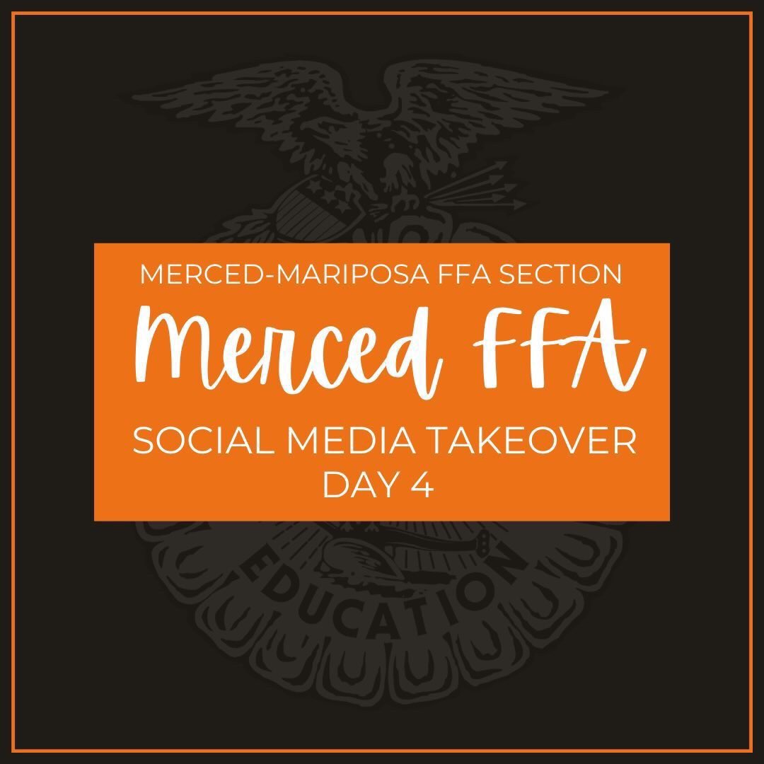 MercedMariposa's tweet photo. As we gear up for the @californiaffa State Conference, we would like to take a moment to highlight some of our members who worked hard in their respected areas! We had Sectional, Regional, and State Finalists! @themercedffa is looking forward to hearing the results on March 27th! https://t.co/MvXcGce13X