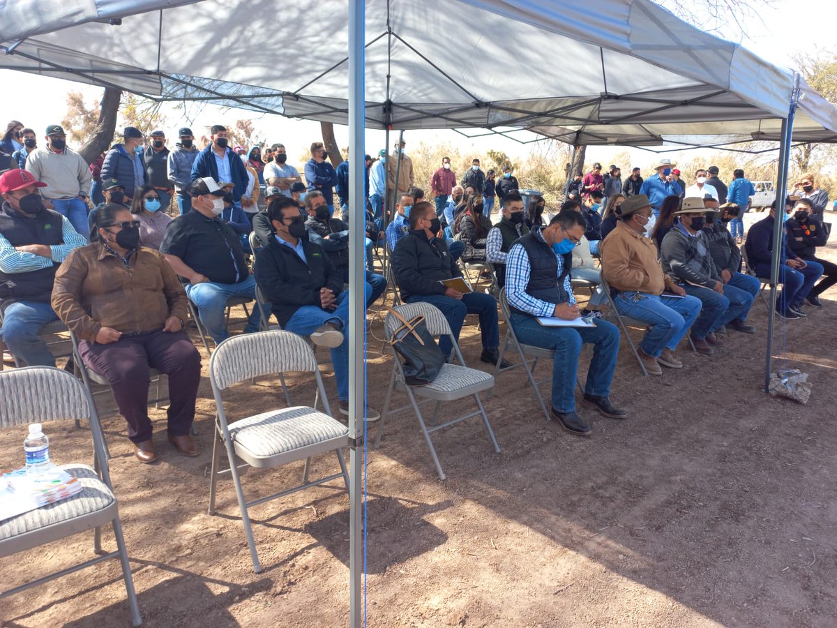 Hub_PACNorte's tweet image. Gracias al Ing. Sergio Gonzales de empresa Bionat, MC. Iván Alvarado de INIFAP, Dr. Fernando Escoboza, MC. Andrés González Ica UABC,  Ing. Nehemias Buitimea corrdinador Técnico de CIMMYT y Dr. José Luis Velasco Gerente de PAC CIMMYT por su participación en el evento día de campo.