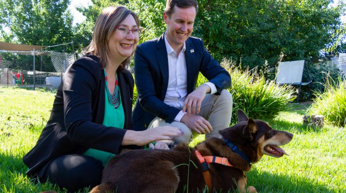RegionCanberra's tweet photo. After half a century in a converted house, the @rspcaact is "incredibly excited" a new site has been found for purpose-built facilities in Pialligo - but it's still a while off https://t.co/4h82bWYDyh https://t.co/gtjTaunvZs