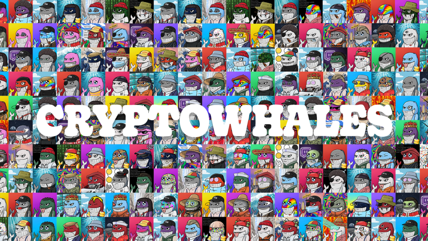CryptoWhales 🐋 ❁ tweet media