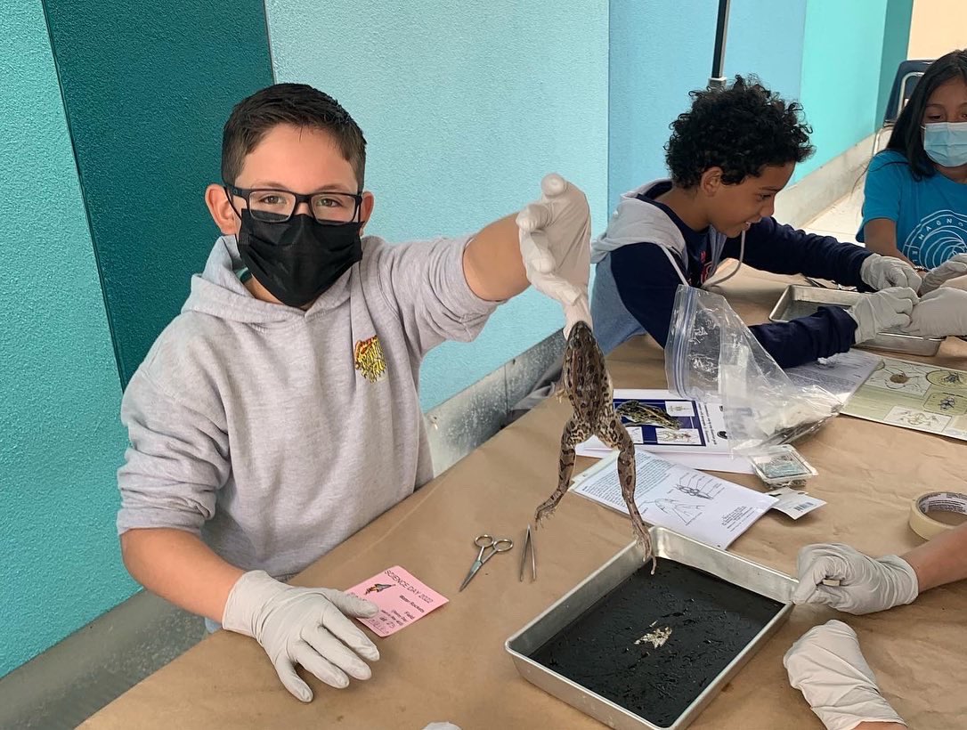 Aaron Nelson tweet media