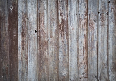 whitedovecrafts's tweet image. Photo By Viktor Forgacs | Unsplash 
 #videodesigner #malaysiavideogame #ciptavideogame #editing #editer