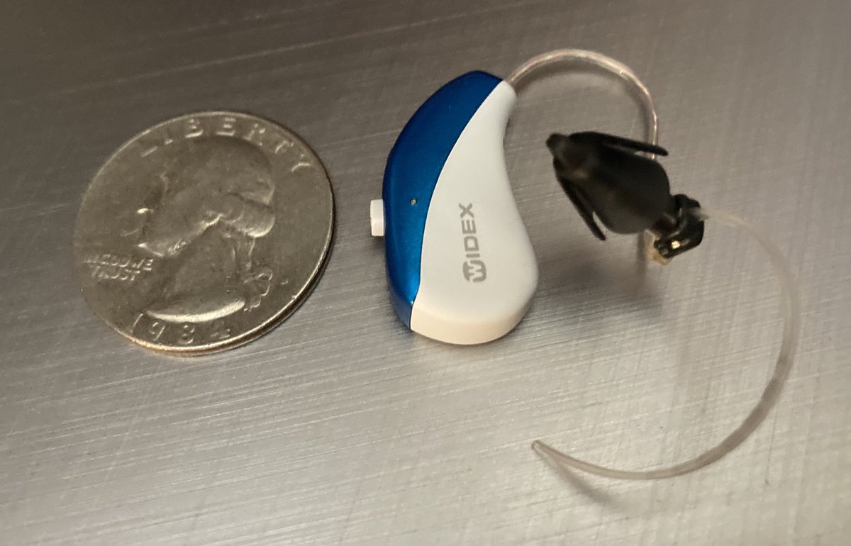 laura case ☘️ tweet media