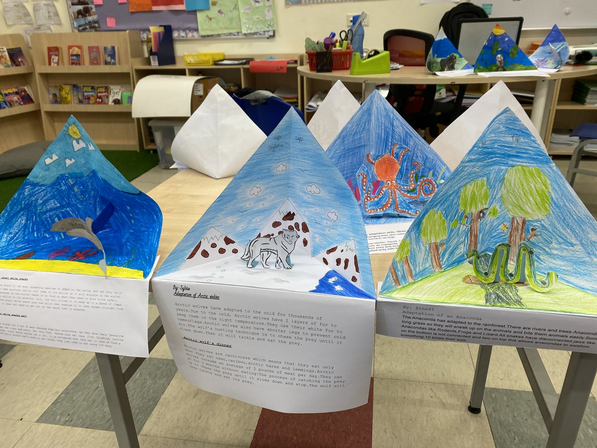 This marks the end of Land, Sea and Sky unit. Children made wonderful trioramas and in English practiced writing supporting paragraphs. #HIS_learning <a href="/My_Fieldwork/">MyFieldwork</a> #IPC #englishlearning
