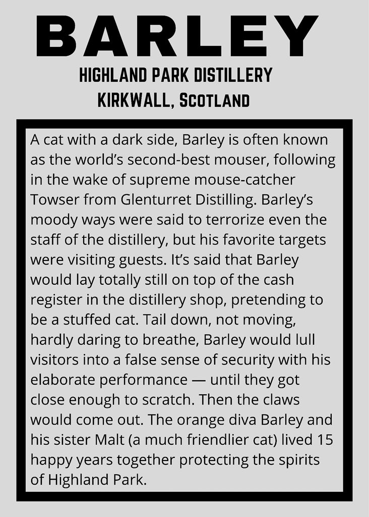 mads online tweet media