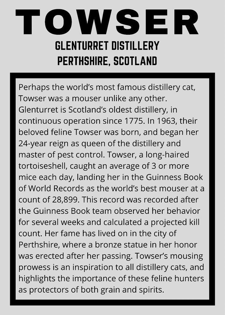 mads online tweet media