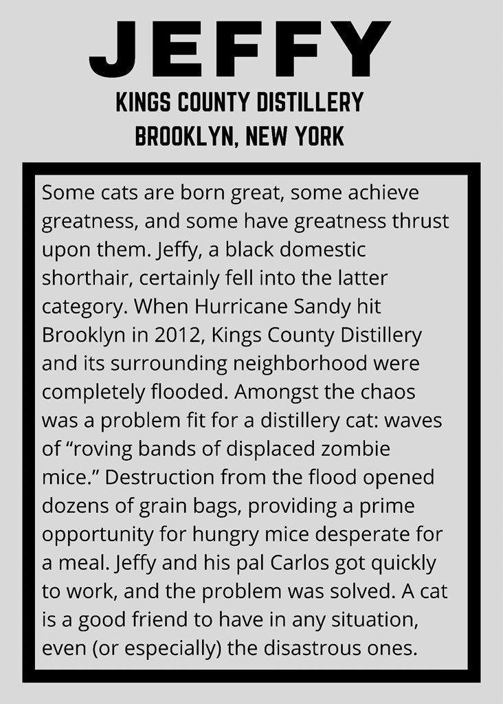 mads online tweet media