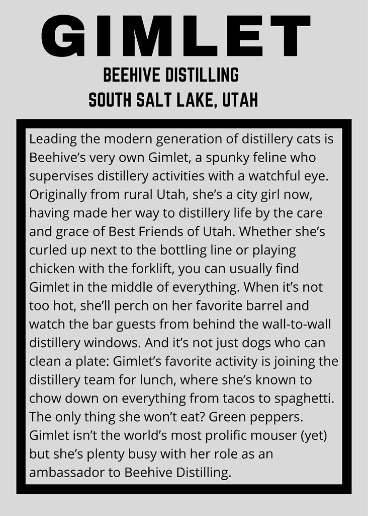 more distillery cat stories authored by yours truly